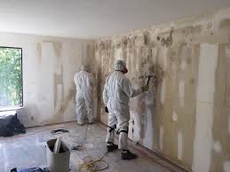 Falls Creek, PA Mold Removal Company